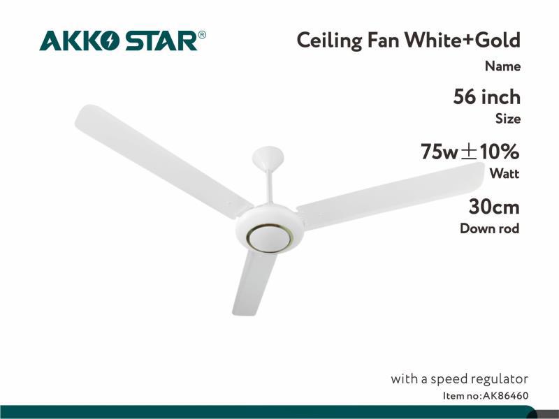 Ceiling Fan